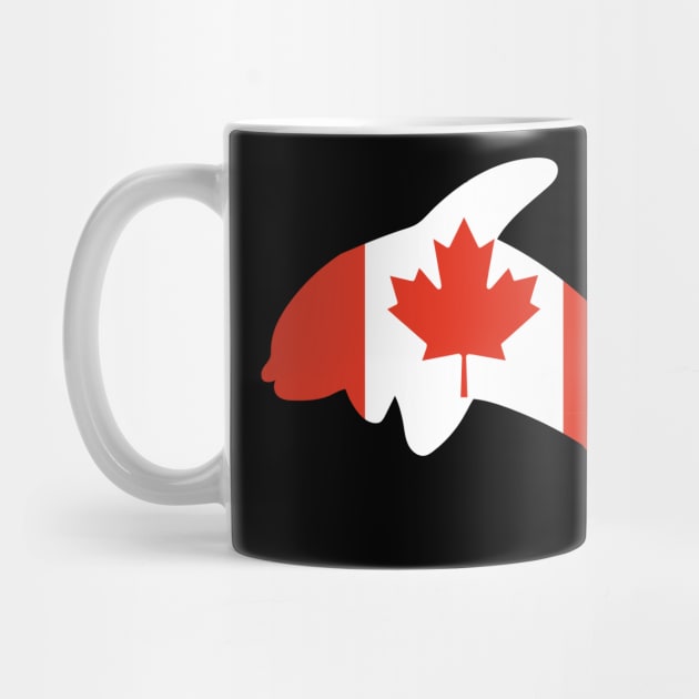 Orca Whale Canada by DiegoCarvalho